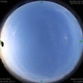 1585617502.jpg