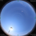 1585630003.jpg