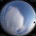 1585652980.jpg