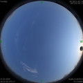 1585654420.jpg