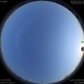 1585654540.jpg