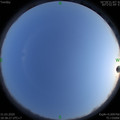 1585654720.jpg