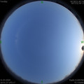 1585654901.jpg