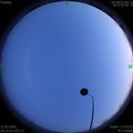 1585660513.jpg
