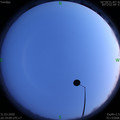 1585660768.jpg