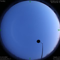 1585660828.jpg