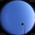 1585660888.jpg