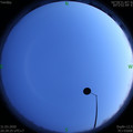 1585661384.jpg