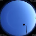 1585661744.jpg