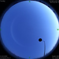 1585662494.jpg