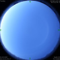 1585696486.jpg