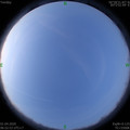 1585698782.jpg