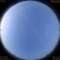 1585698842.jpg