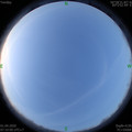 1585699818.jpg