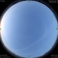 1585699878.jpg
