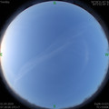 1585700898.jpg