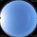 1585702399.jpg