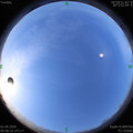1585706916.jpg