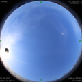 1585707036.jpg