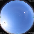 1585709663.jpg