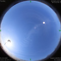 1585710098.jpg