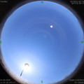 1585716446.jpg