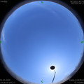 1585726711.jpg