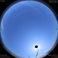 1585726771.jpg
