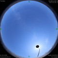 1585727431.jpg