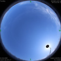 1585732054.jpg