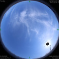 1585733014.jpg