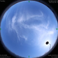 1585733314.jpg