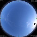 1585738537.jpg
