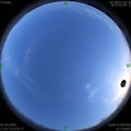 1585738657.jpg