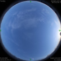1585741838.jpg