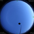 1585747767.jpg