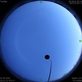 1585747886.jpg