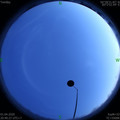 1585748442.jpg