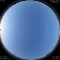 1585787101.jpg