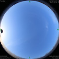 1585790222.jpg