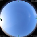 1585790342.jpg
