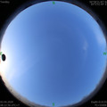 1585790597.jpg