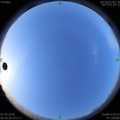 1585791078.jpg