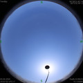 1585811232.jpg