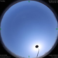 1585813454.jpg