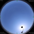 1585813814.jpg