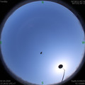 1585816095.jpg