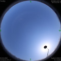 1585817175.jpg