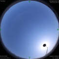 1585817536.jpg