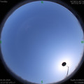 1585817836.jpg